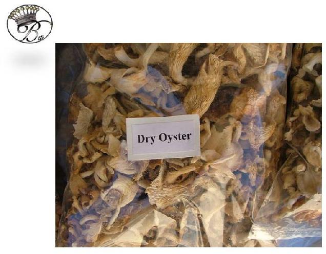 Dry oyster mushroom, Color : brownish