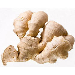 Organic dry ginger, Shelf Life : 12 months