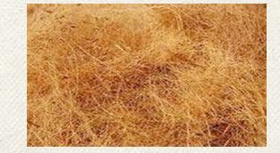 Coir Cut Fiber