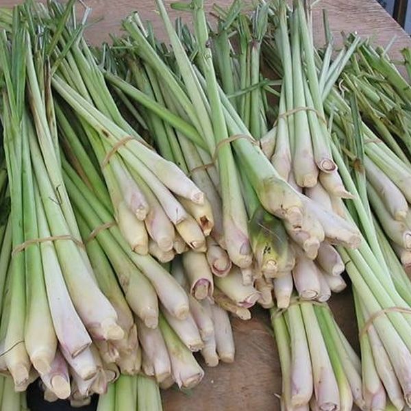 Frozen Lemongrass by Saka Saka Co LTD, Frozen Lemongrass from Ho Chi