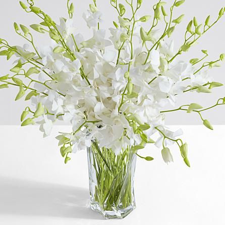 Deluxe White Dendrobium Orchids