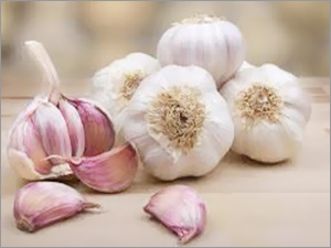 Pure garlic