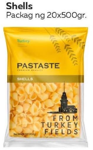 Pasta Shells