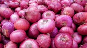 Oval Common fresh red onion, for Cooking, Enhance The Flavour, Size : Large, Medium, Small