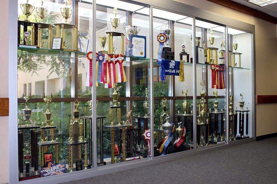 Large Display Cases