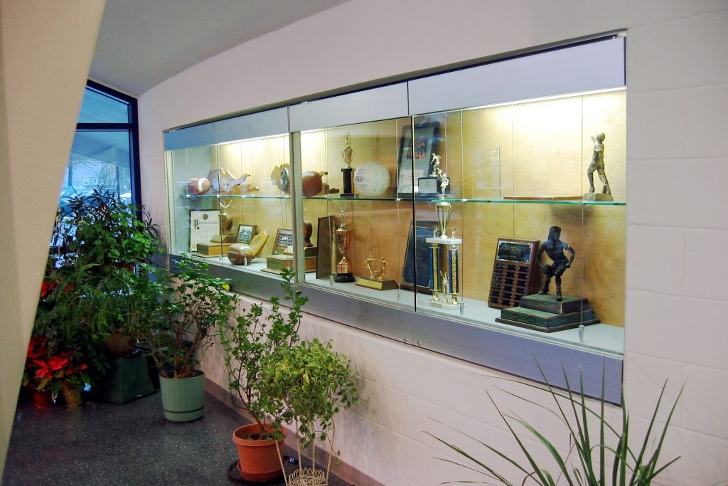 Recessed Display Cases