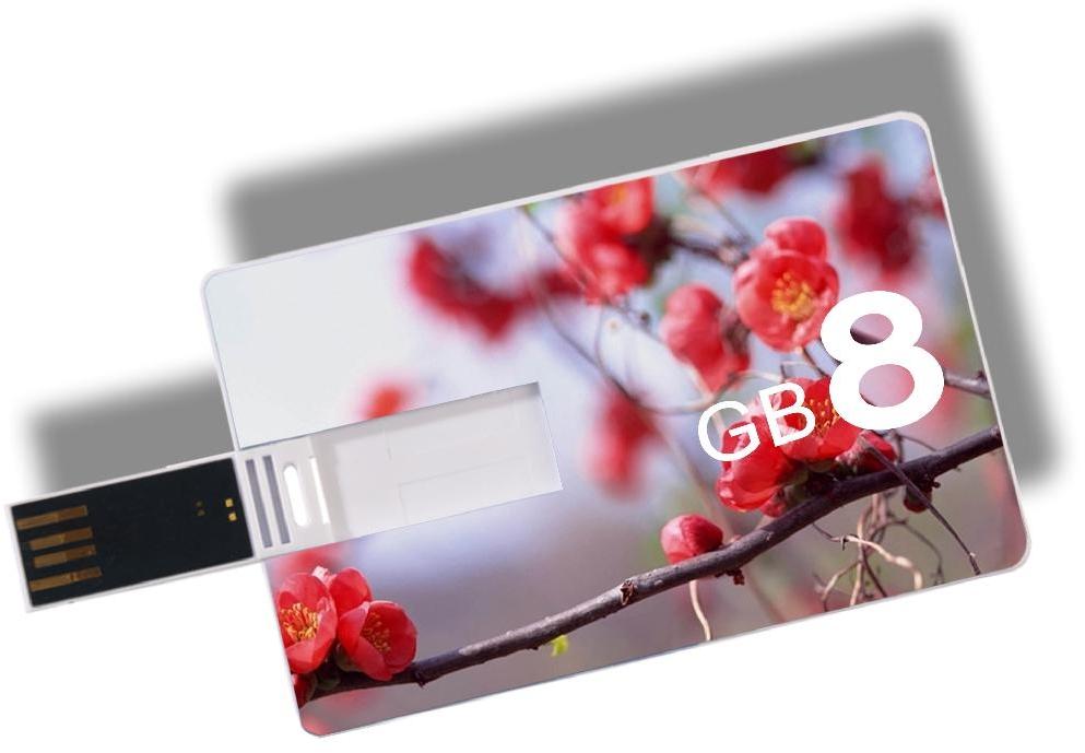 8gb credit card usb flash drive