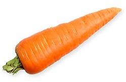 carrot