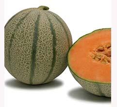 Fresh Galia Melon