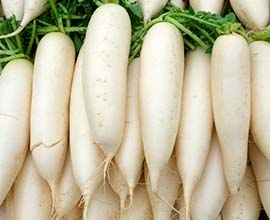 Fresh White Radish