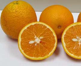 Orange for Juice
