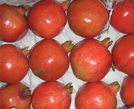 Pomegranate Bhagwa