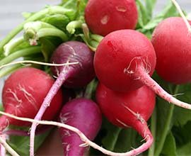 Red Radish