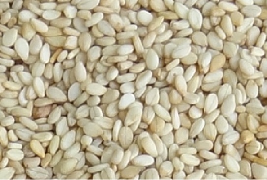 sesame seeds