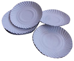 White Paper Plates