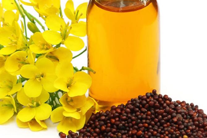 Mustard Oil