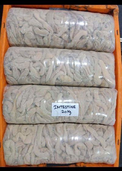 Frozen Buffalo Offals Intestine, for Mess, Household, Restaurant etc