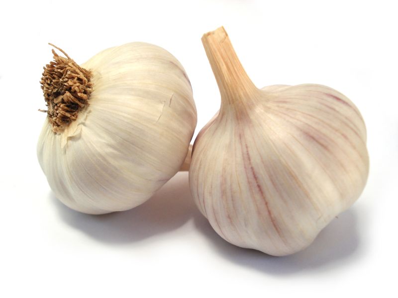 Organic fresh garlic