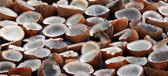 Common Coconut Copra, for Cosmetics, Medicines, Pooja, Form : Solid