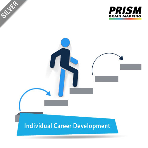 Individual Career Development - Silver