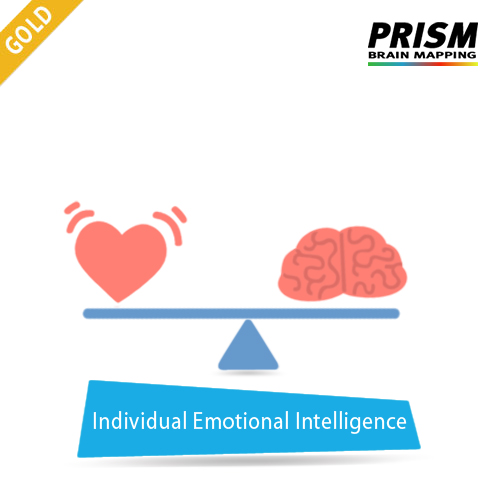 Gold Individual Emotional Intelligence services