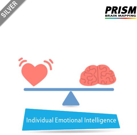 Silver Individual Emotional Intelligence services