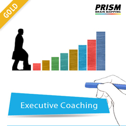 Gold Individual Personal Coaching services