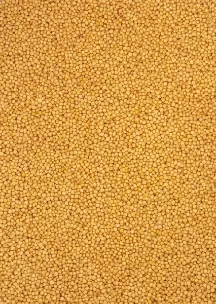 Yellow mustard seeds