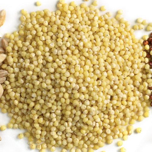 Organic Millet Seeds, for Cooking, Style : Dried