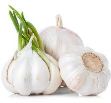 Common fresh garlic, for Cooking, Fast Food, Snacks, Feature : Dairy Free, Natural