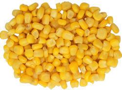 yellow maize seeds