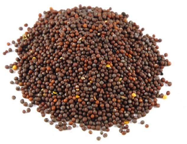 mustard seeds