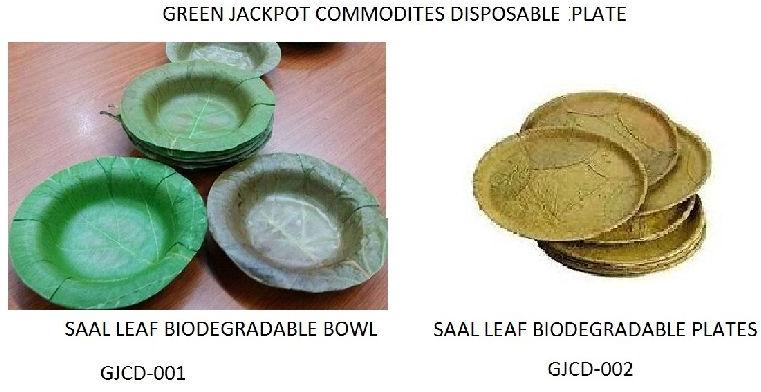 Saal leaf disposable plates