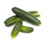 Fresh Cucumber