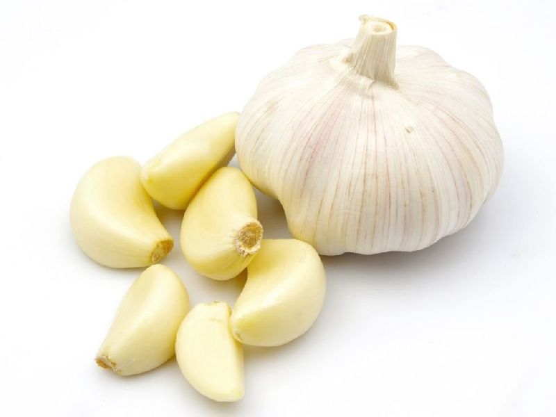 Organic fresh garlic