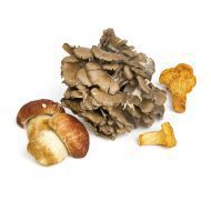 Organic fresh mushroom, Packaging Type : Packed In Jute Sack