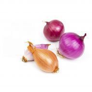 Organic fresh onion, Packaging Type : Packed In Jute Sack