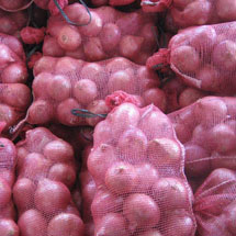 fresh red onion