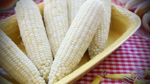 white Corn Maizes