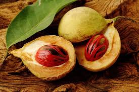 Dry nutmeg spices, Color : dark brown