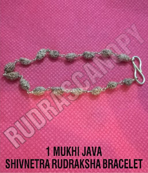 Brown 1 Mukhi Java Shivnetra Rudraksha Bracelet, For Religious, Gender : Female, Male