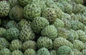 fresh custard apple