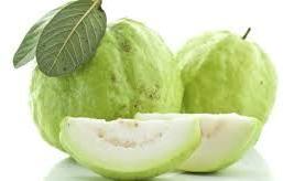 fresh guava