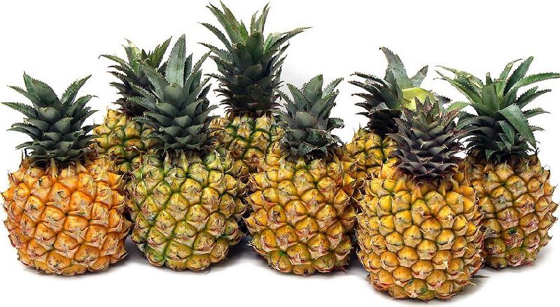 Fresh Pineapple, for Food, Juice, Packaging Type : Carton Box, Corrugated Paper Box