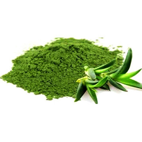 Aloe Vera Powder, for Health Care, Color : Green