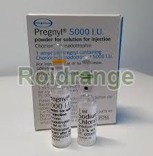 Organon HCG Pregnyl 5000iu