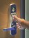finger print access control system