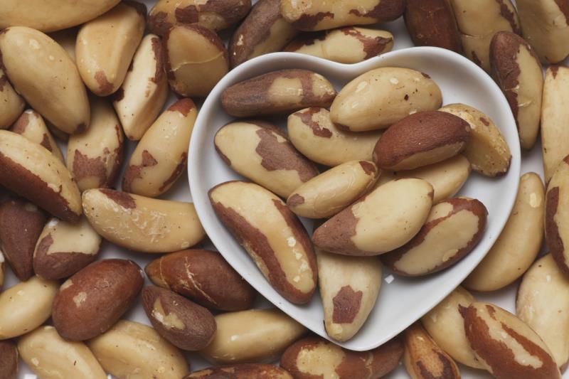Certified Organic Brazil Nuts