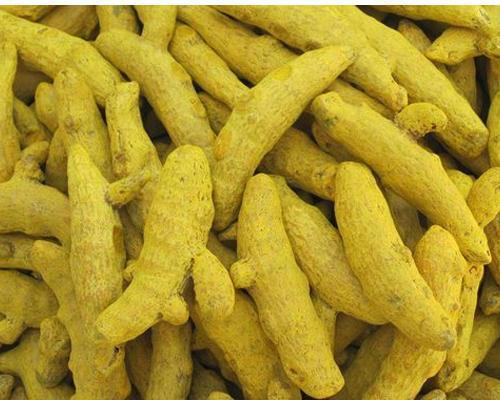 Raw Turmeric Finger, Packaging Size : 50 kg