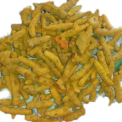 Whole Turmeric Finger, Packaging Size : 50 kg